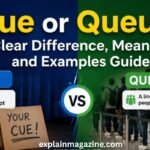 cue or queue
