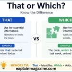 that or which