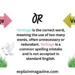 verbage or verbiage