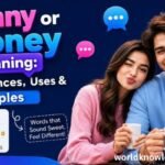 hunny or honey