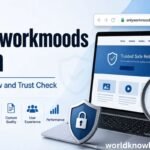 OnlyWorkMoods.com